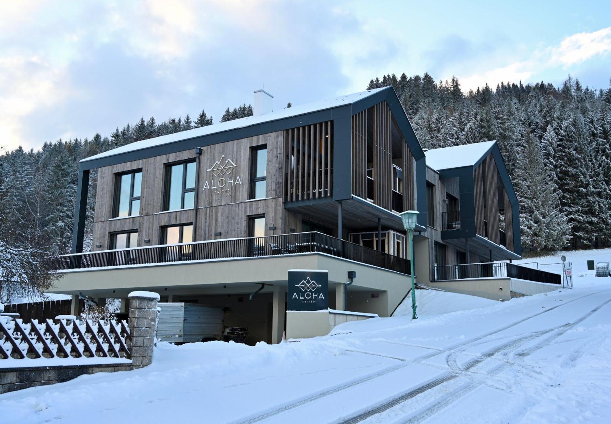 Aloha Suites - Alpin Lodge Haus Haus im Ennstal Ngoại thất bức ảnh