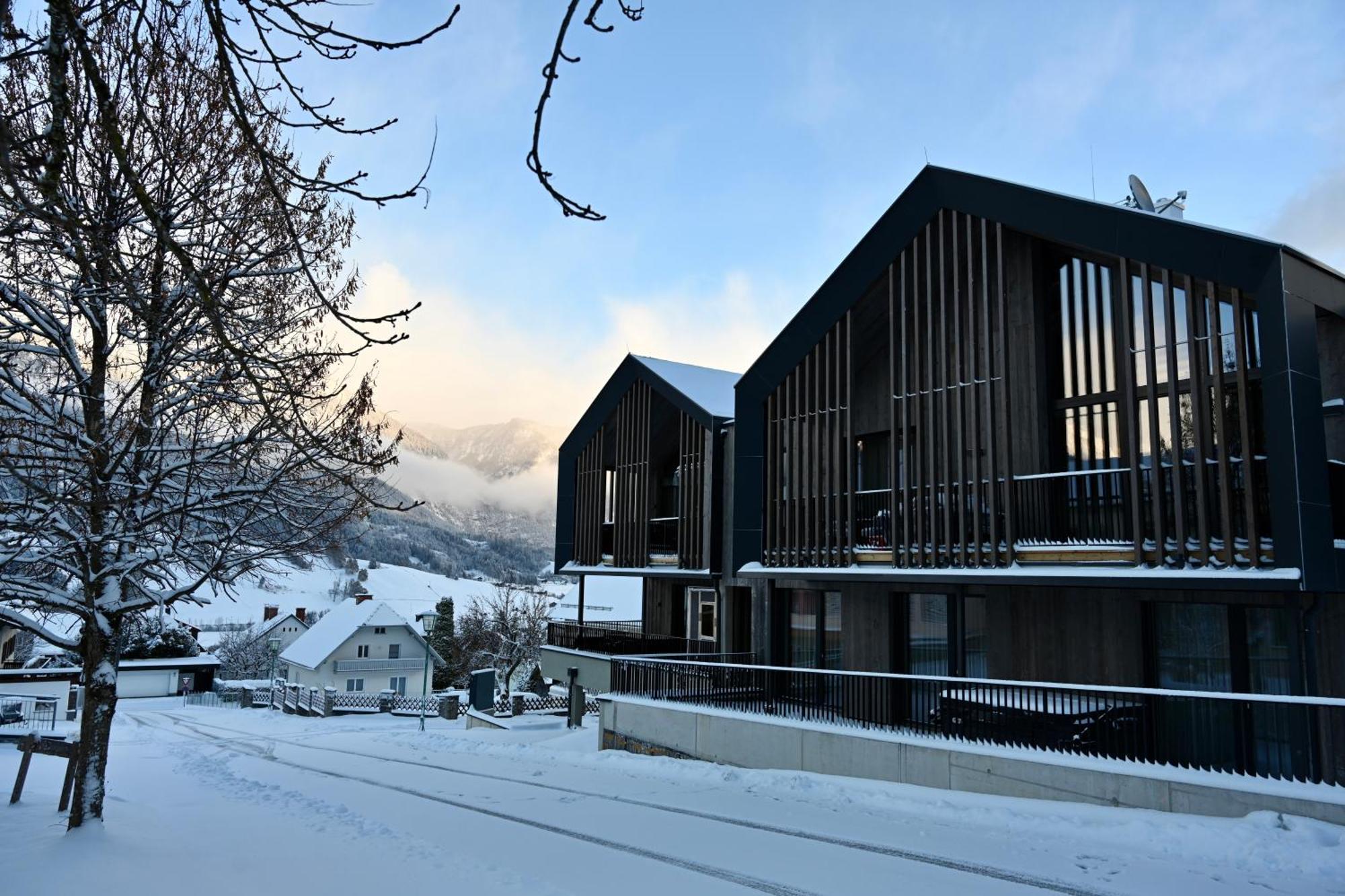 Aloha Suites - Alpin Lodge Haus Haus im Ennstal Ngoại thất bức ảnh